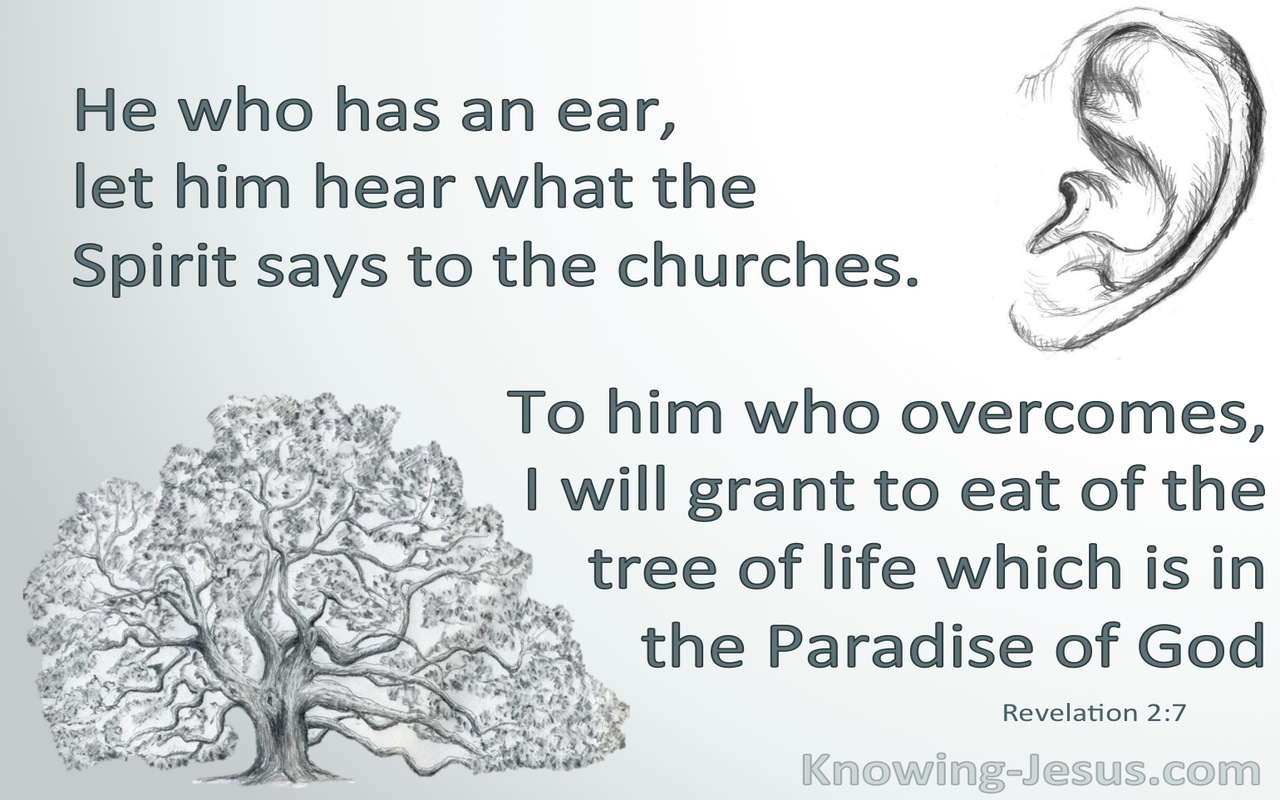 Revelation 2:7 He Who Has An Ear Let Him Hear (sage)